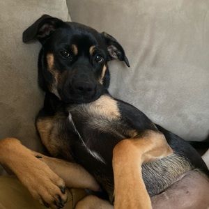 Meet your Posher, Ethan